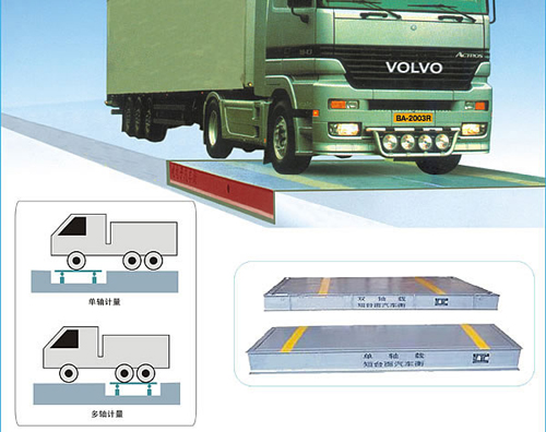 SCS-E型固定式電子軸重秤